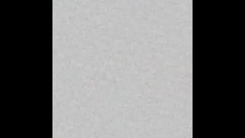 Vivian online show from 10.03.25