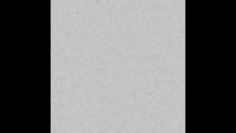 Vivian online show from 10.17.25