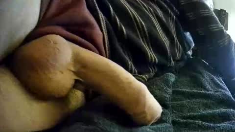 Snapshot of vleeslollie2024 chatting on 01.10.25 vleeslollie2024 online show from 01.10.25