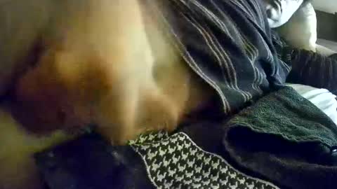 Snapshot of vleeslollie2024 chatting on 01.13.25 vleeslollie2024 online show from 01.13.25