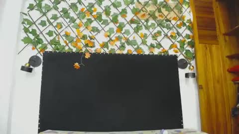 Snapshot of vskayper chatting on 04.28.26 skay online show from 04.28.26