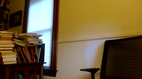 Snapshot of vtcd chatting on 10.07.25 vtcd online show from 10.07.25