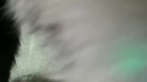 Daniel online show from 02.28.25