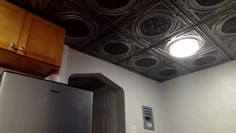 wantstoperform online show from 11.02.25