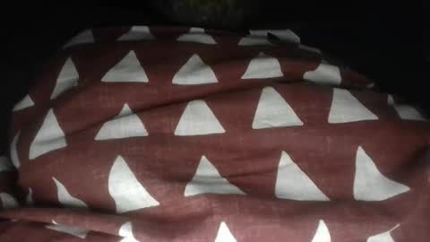 Snapshot of watchweb2008 chatting on 10.05.25 BrownAssboy online show from 10.05.25