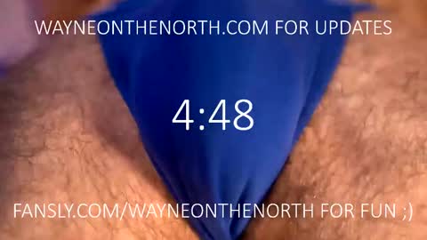 Snapshot of waynenorth chatting on 02.20.25 waynenorth online show from 02.20.25