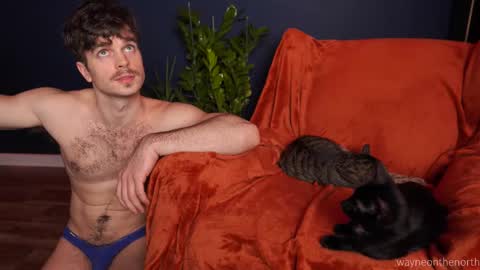 waynenorth online show from 11.22.25