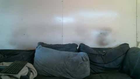 WB Farm online show from 01.12.26