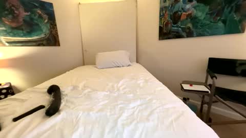 Snapshot of webcameraon chatting on 03.07.26 Retainer Forever Solo Album online show from 03.07.26