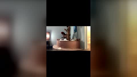 Mrmrs VIP online show from 03.19.26