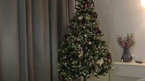 CAREN online show from 01.08.25