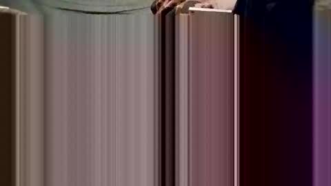 Breedee Boy online show from 12.24.24