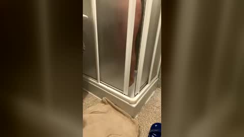 wet___pussy online show from 07.06.26
