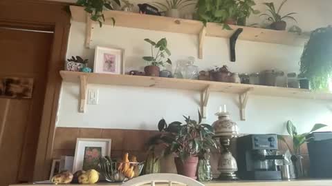 Snapshot of whiskylovexxx chatting on 11.04.25 WhiskyLove online show from 11.04.25