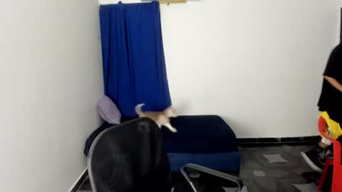 white online show from 07.14.26
