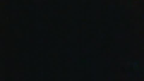 whitehead_lion online show from 09.17.25