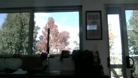 Snapshot of whitepantyman1973 chatting on 04.29.26 whitepantyman1973 online show from 04.29.26
