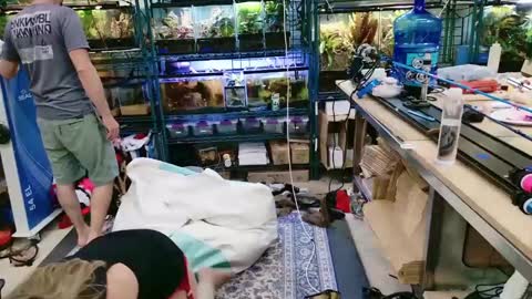 WifeNheels online show from 06.07.26