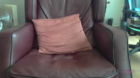 Snapshot of wilbert31 chatting on 06.16.26 wilbert online show from 06.16.26