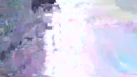 wild lemont online show from 11.01.25