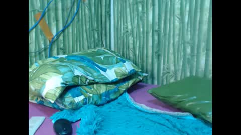 Snapshot of wild_pamela chatting on 12.12.24 loving trans Pamela online show from 12.12.24