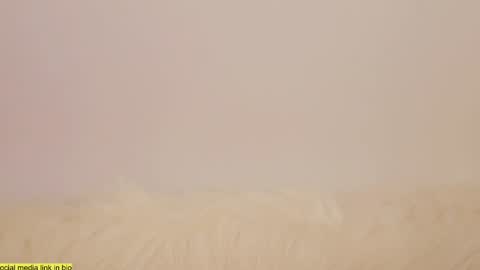 Snapshot of wild_schoolgirl chatting on 01.13.25 wild_schoolgirl online show from 01.13.25