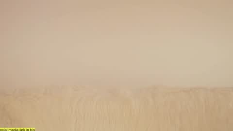 Snapshot of wild_schoolgirl chatting on 01.18.25 wild_schoolgirl online show from 01.18.25