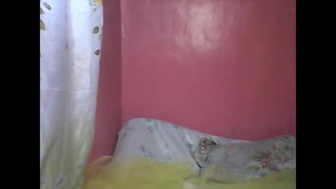 wild_sunflower11 online show from 12.25.24