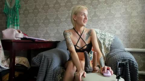 wildforestmuse  twitter online show from 04.13.26