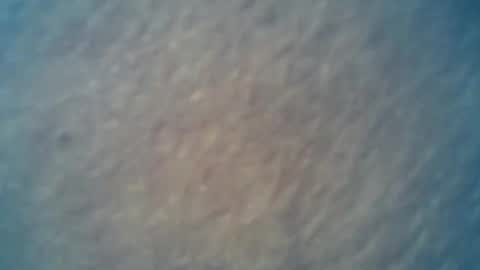 wildman6 online show from 02.15.25