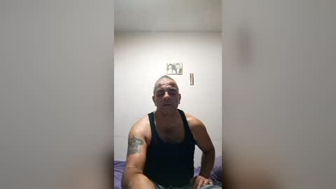 wildrooooster online show from 07.02.26
