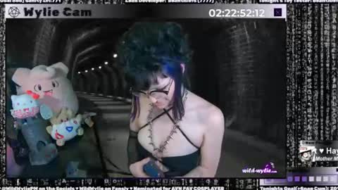 Wylie Wanderlust online show from 01.15.25