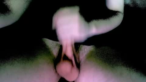 willcox10301 online show from 12.13.24