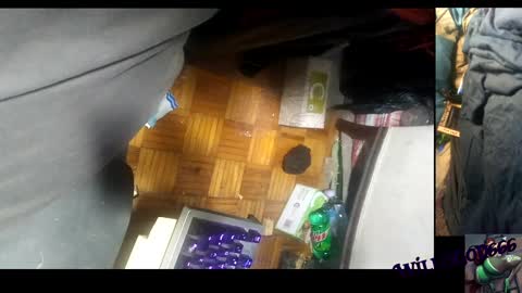 willisgod666 online show from 12.10.24