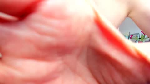 Wilhelmina better Willy online show from 02.20.25