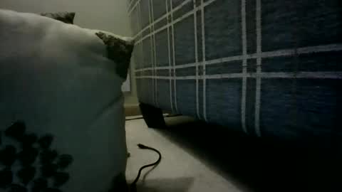 Willhedoher online show from 03.04.26