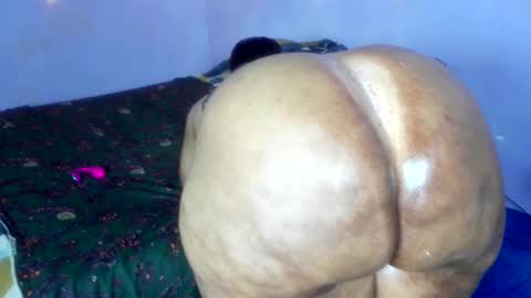 wilmaassylum online show from 12.01.25