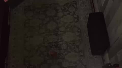 Snapshot of wipwips chatting on 02.11.26 KiwiFruit89 online show from 02.11.26