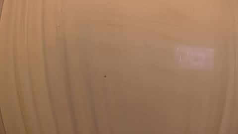 Mater online show from 10.19.25