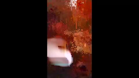 Snapshot of woalse32 chatting on 11.05.25 Topic the Rapper online show from 11.05.25