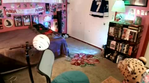 Wolfie online show from 01.09.25