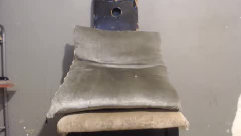 SHENIEL RODRIGUEZ online show from 10.26.25