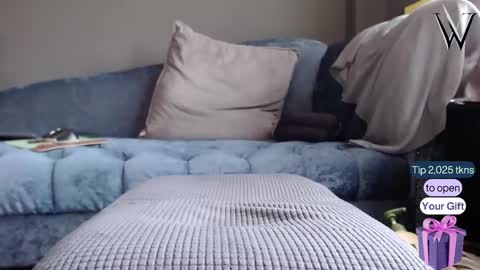 Wonder online show from 12.22.24