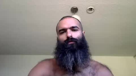 woof_wolf37 online show from 10.16.25