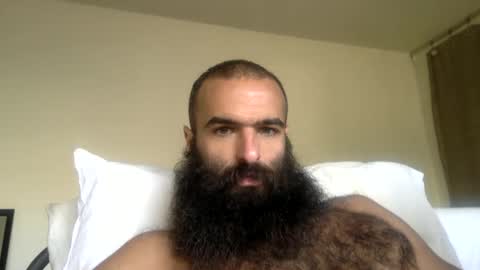 woof_wolf37 online show from 04.07.26