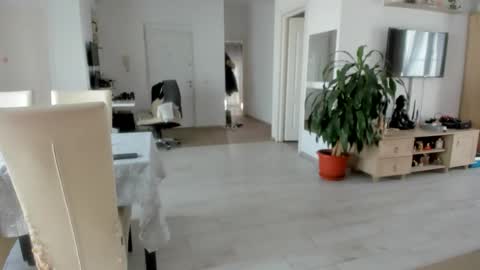 Wolfie online show from 11.25.25