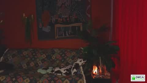 Evelin online show from 03.25.26