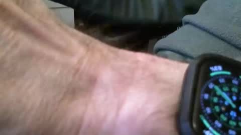 wrangleat0r online show from 11.16.25