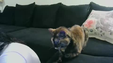 Crystal Lake online show from 10.15.25