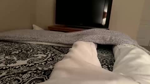 Wsteel66 online show from 02.24.26